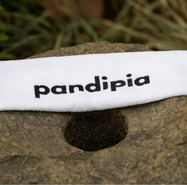 Pandipia